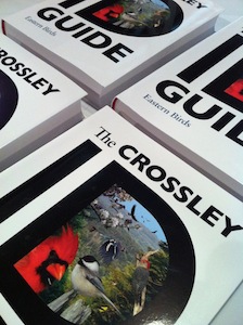 crossleyjax