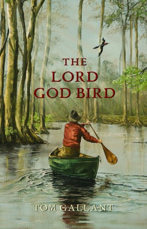 New Book Reviews in Bird Watcher’s Digest
