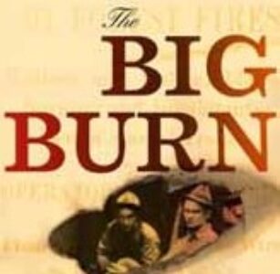 big_burn