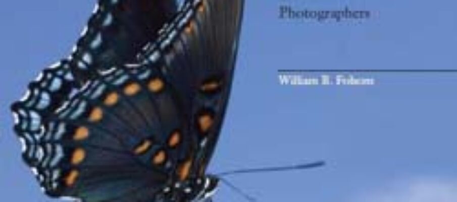 butterfly_photographers_handbook