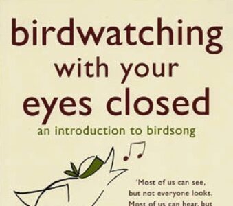 birdwatching_eyes_closed_large_feature