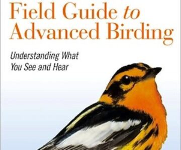 advanced_birding_feature
