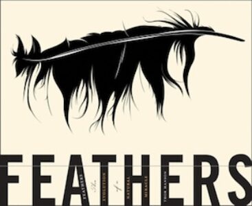 feathers_feature