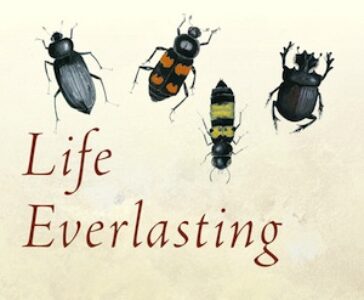 life_everlasting_feature