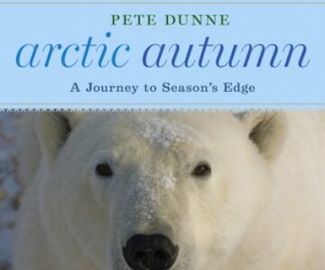 arctic_autumn_feature