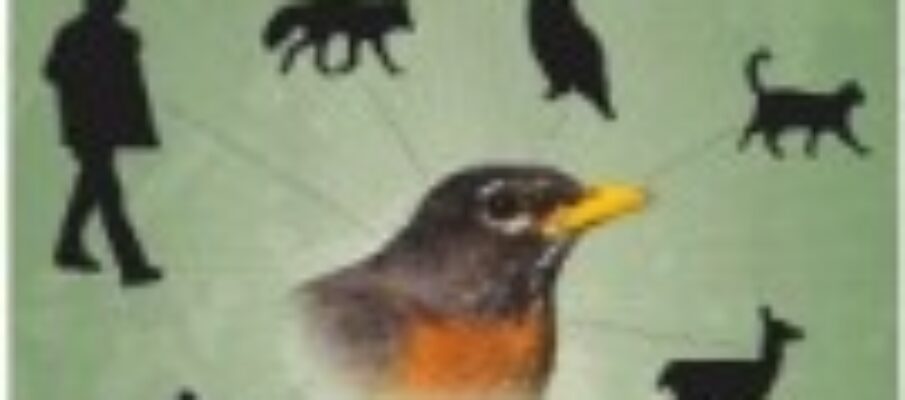 what-the-robin-knows-cover