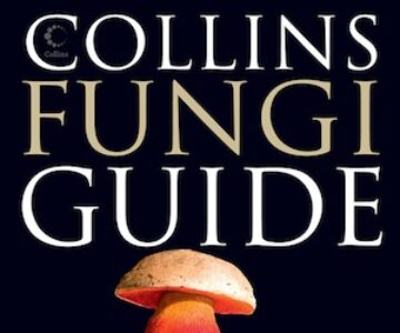 collins_fungi_feature