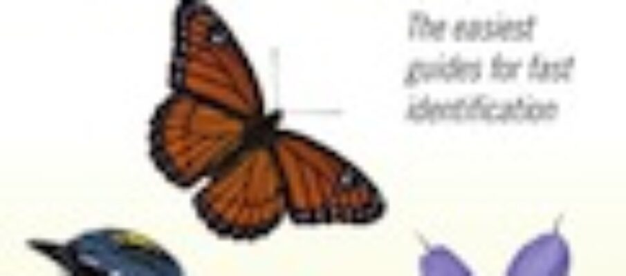 nature_of_new_england_cover