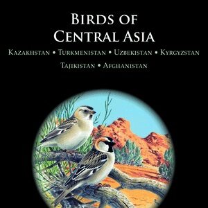 birds_central_asia_feature