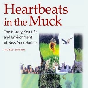 heartbeats_muck_feature