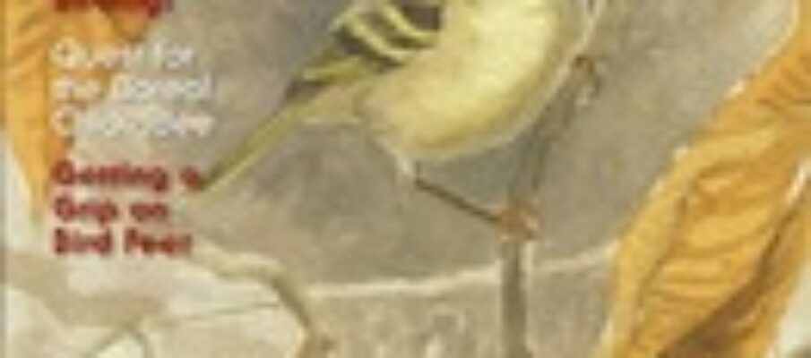 bwd_jan_feb_2013_cover