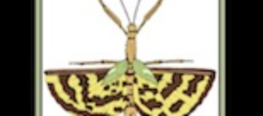 incredible_arthropods_cover