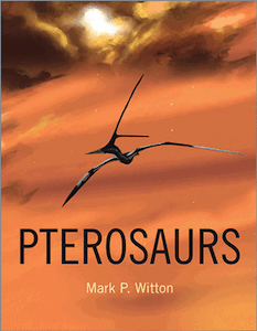 Pterosaurs cover