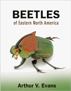 Beetles of Eastern NA