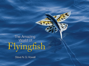 Flyingfish