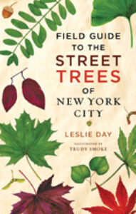Street Trees of NYC