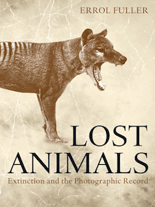 Lost Animals Cover
