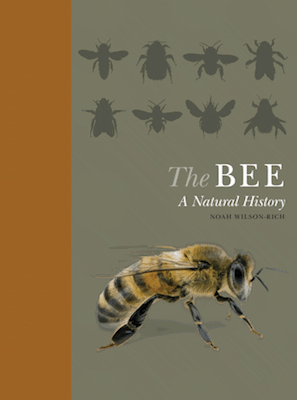 Bee Natural History cover
