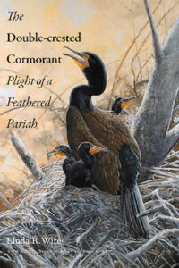 DC Cormorant cover
