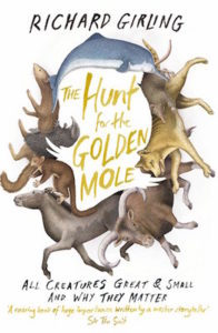 Hunt for Golden Mole cover