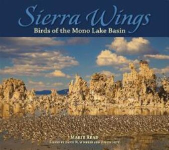 Sierra Wings