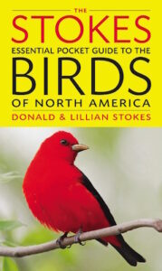 Stokes Essential Birds NA cover
