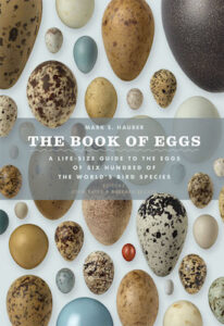 Book of Eggs cover