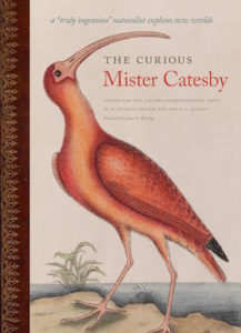 Curious Mr Catesby cover
