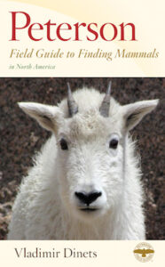 Finding Mammals cover copy