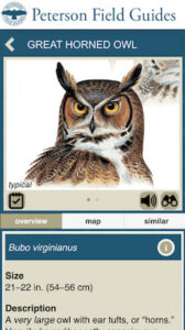 Peterso Birds App 2