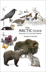 Arctic Guide cover
