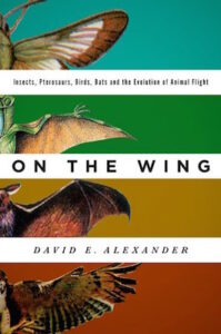 On the Wing cover