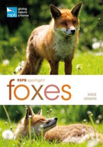 RSPB Spotlight Foxes cover