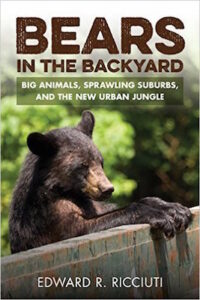 Bears Backyard cover