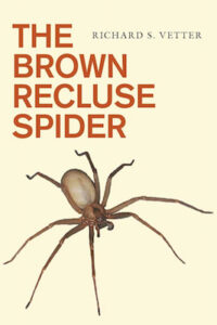 Brown Recluse cover