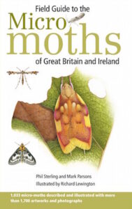 Micro Moths cover