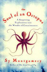 Soul Octopus cover