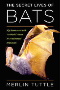 Secret Lives of Bats cover