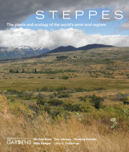 Steppes cover