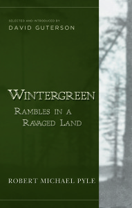 Wintergreen cover