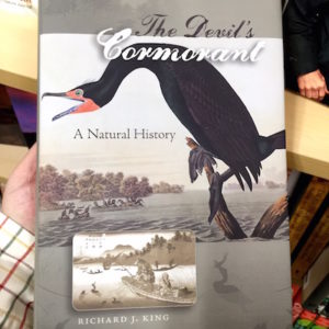 Devils Cormorant