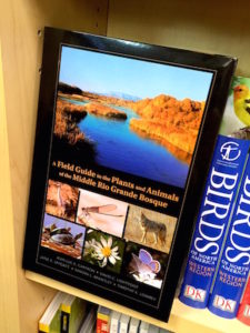 FG Middle Rio Grande