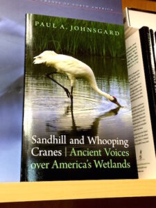 Sandhill Whooping Cranes