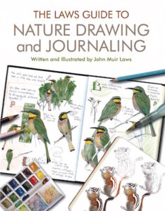 Laws Guide Nature Drawing