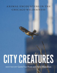 City Creatures cover