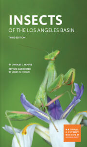 Insects Book-Cover