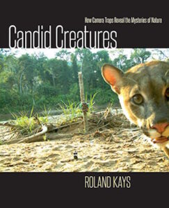 Candid Creatures cover