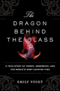 Dragon Behind the Glass cover
