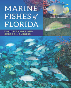Marine Fishes Florida cover