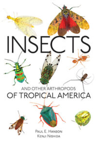 Insects Tropical America cover